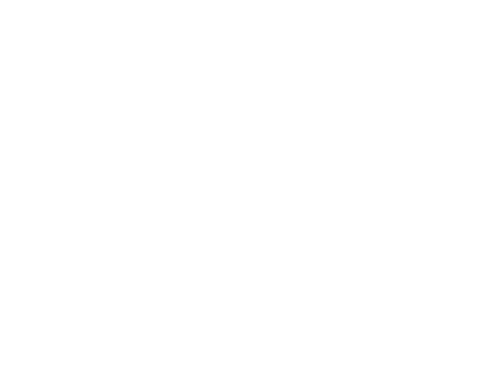  “ ng C ng s n Vi t Nam ra   i l  b  c ngo t to l n trong l ch s  c a n  c ta,   nh d u m t m c son ch i l i tr n co...