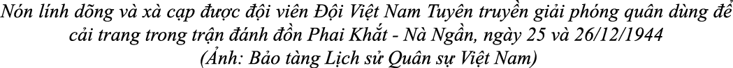 N n l nh d ng v x  c p    c   i vi n   i Vi t Nam Tuy n truy n gi i ph ng qu n d ng    c i trang trong tr n   nh   n...