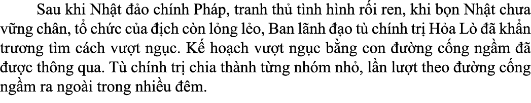 Sau khi Nh t  o ch nh Ph p, tranh th  t nh h nh r i ren, khi b n Nh t ch a v ng ch n, t  ch c c a   ch c n l ng l o...