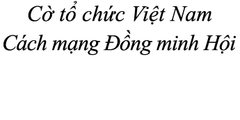 C t  ch c Vi t Nam C ch m ng   ng minh H i