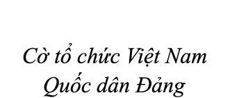  C t  ch c Vi t Nam Qu c d n   ng