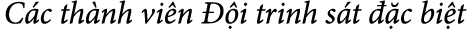 C c th nh vi n  i trinh s t   c bi t
