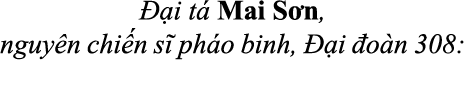  i t  Mai S n, nguy n chi n s  ph o binh,   i  o n 308: 