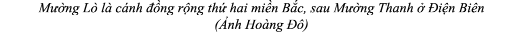 M ng L  l  c nh   ng r ng th  hai mi n B c, sau M  ng Thanh    i n Bi n ( nh Ho ng   )