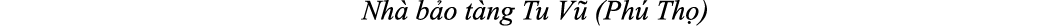 Nh b o t ng Tu V  (Ph  Th )