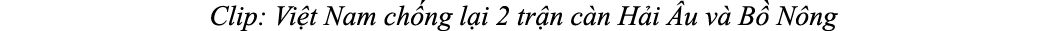 Clip: Vi t Nam ch ng l i 2 tr n c n H i u v  B  N ng