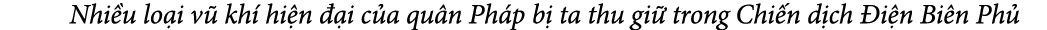  Nhi u lo i v kh  hi n   i c a qu n Ph p b  ta thu gi  trong Chi n d ch  i n Bi n Ph 